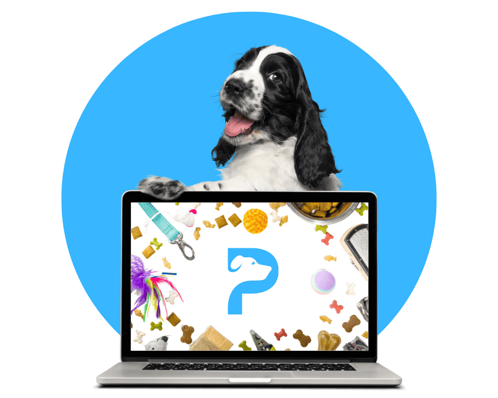 marketing for pet care businesses