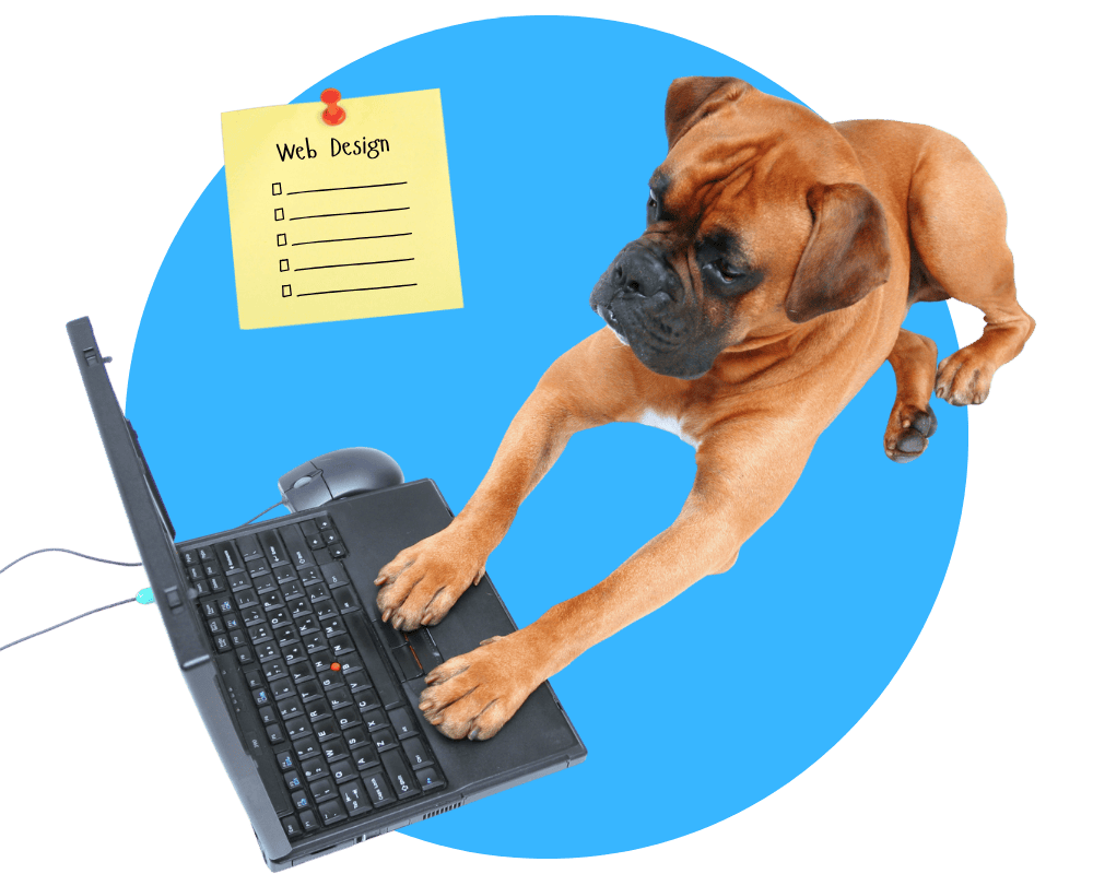 web design for pet care businesses